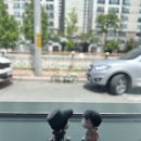 송송쌈밥 - 수성구 | 송송쌈밥