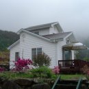 산새소리물소리 이미지