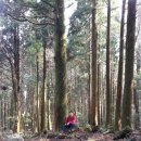 서귀포자연휴양림 이미지