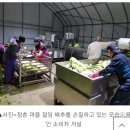 영농조합법인 장촌마을 이미지