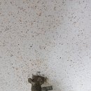 에스케이SK매직렌탈전주 이미지