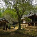 강골민박 이미지