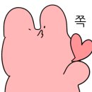 쑈숴이양이주방