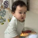 드림체육관 | 하베브릭스 아기체육관 후기｜국민아기체육관 고민 끝, 아기체육관사용시기까지 정리