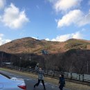 코코샤브 구서점 이미지