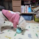 황실짜장 이미지