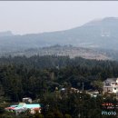 강정동-37 이미지