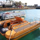 제주깜돈 이미지