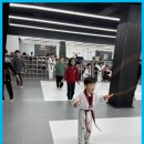 태권박사 체육관 | 전주혁신도시태권도 전주 경희대박사태권에 대한 솔직 후기