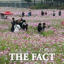 코스모스사진관