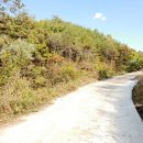 하이마로 이미지