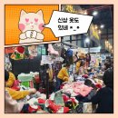 퍼피커뮤니케이션 이미지