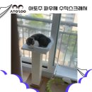 (주)파우제 이미지