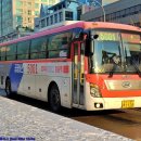 태성여객 이미지