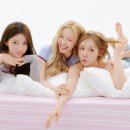 시크릿(SECRET)
