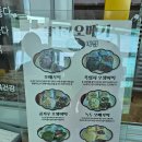 초록오메기떡 | 제주오메기떡 추천 [섬나라오메기떡], 제주공항 근처 오메기떡 포장 후기