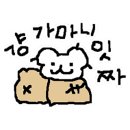 꿀사과씨앗닭강정