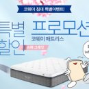 렌팡 이미지