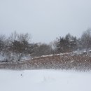 거창-가북-3 이미지