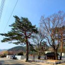 유천1리마을회관 이미지