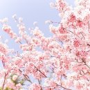 서현음악학원 이미지