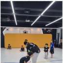 팀에이스태권도 이미지