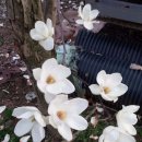 초방리농장 이미지