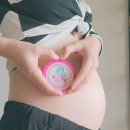 앤애견샵 | 포천 임산부 왁싱 30분컷 가능했던 소흘왁싱앤스킨 애견동반 방문후기