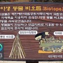 더라온 이미지