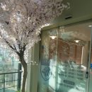 하늘숲소아청소년과의원 이미지