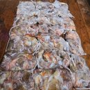 뽑고또뽑고 이미지