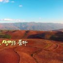 문명의 기원 이미지