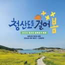 청산도봄 이미지