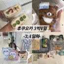 세일카프라자 | [후쿠오카 3박4일](3)신선산도/키디랜드/키라돈키/돈키호테 나카스점