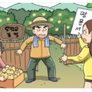 재판농장 이미지