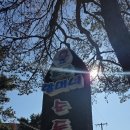 초당할머니순두부 | 강릉 초당할머니순두부 부산에서 당일치기 점심 후기