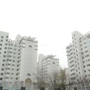 루나공인중개사사무소 이미지