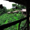 장계석 농장 이미지