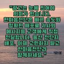 한마음전단