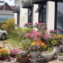 진영자이아파트 이미지