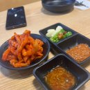[길동 도야족발] 길동역 족발맛집 도야족발 길동강아지동반식당