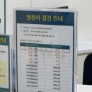 현대여성아동병원 | 순천현대여성아동병원 :) 2차 영유아검진예약 오픈런 후기 / 여수 순천 광양 영유아검진예약