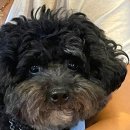 민등대길 이미지