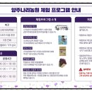 천연수세미랑 마크라메 공예 이미지