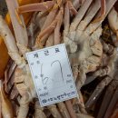 왕게수산킹크랩 이미지