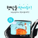햇빛모터스 이미지
