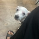 웰빙김밥나라 이미지