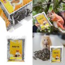 다람쥐몰 이미지