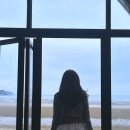 스테이더딜라잇 이미지