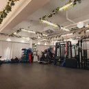 다비드 핏 이미지